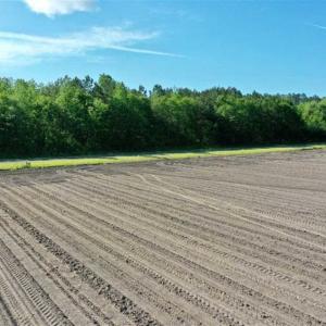 Photo of SOLD!!  48.41 Acres of Farm and Hunting Land For Sale in Columbus County NC!