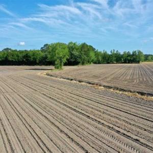 Photo of SOLD!!  48.41 Acres of Farm and Hunting Land For Sale in Columbus County NC!