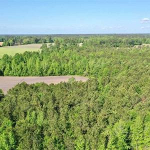 Photo of SOLD!!  48.41 Acres of Farm and Hunting Land For Sale in Columbus County NC!