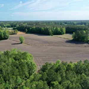 Photo of SOLD!!  48.41 Acres of Farm and Hunting Land For Sale in Columbus County NC!