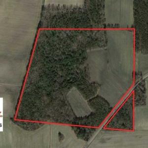 Photo of SOLD!!  48.41 Acres of Farm and Hunting Land For Sale in Columbus County NC!