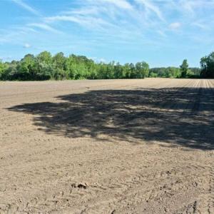 Photo of SOLD!!  48.41 Acres of Farm and Hunting Land For Sale in Columbus County NC!