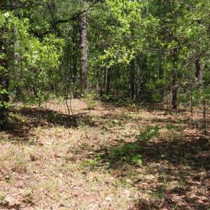 Photo of SOLD!!  19.47 Acres of Residential and Recreational Land in Harnett County NC!