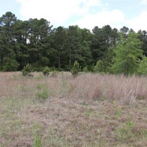 Photo of SOLD!!  19.47 Acres of Residential and Recreational Land in Harnett County NC!