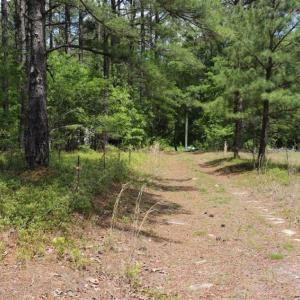 Photo of SOLD!!  19.47 Acres of Residential and Recreational Land in Harnett County NC!