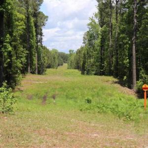 Photo of SOLD!!  19.47 Acres of Residential and Recreational Land in Harnett County NC!