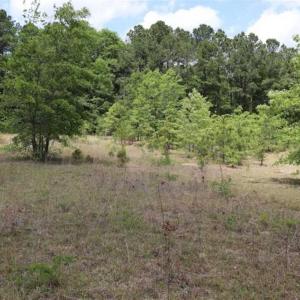 Photo of SOLD!!  19.47 Acres of Residential and Recreational Land in Harnett County NC!
