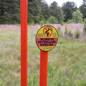 Photo of SOLD!!  19.47 Acres of Residential and Recreational Land in Harnett County NC!