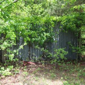 Photo of SOLD!!  19.47 Acres of Residential and Recreational Land in Harnett County NC!