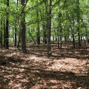 Photo of SOLD!!  19.47 Acres of Residential and Recreational Land in Harnett County NC!