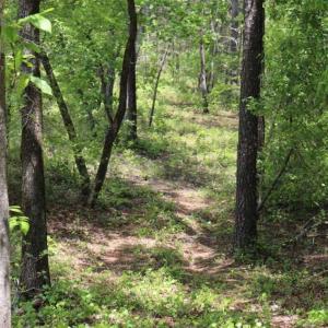Photo of SOLD!!  19.47 Acres of Residential and Recreational Land in Harnett County NC!