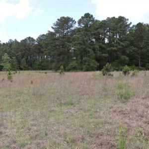Photo of SOLD!!  19.47 Acres of Residential and Recreational Land in Harnett County NC!