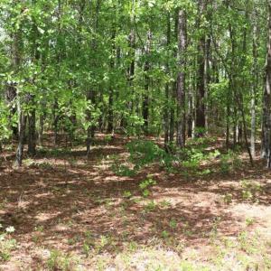 Photo of SOLD!!  19.47 Acres of Residential and Recreational Land in Harnett County NC!
