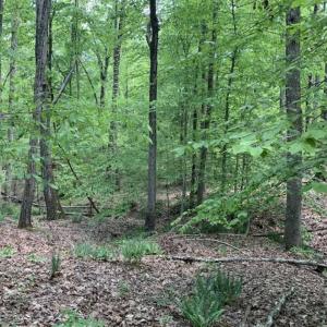 Photo of UNDER CONTRACT!!  3.7 Acres of Residential and Investment Land For Sale in Franklin County NC!