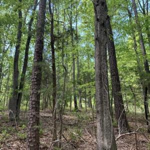 Photo of UNDER CONTRACT!!  3.7 Acres of Residential and Investment Land For Sale in Franklin County NC!