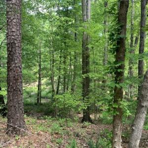 Photo of UNDER CONTRACT!!  3.7 Acres of Residential and Investment Land For Sale in Franklin County NC!