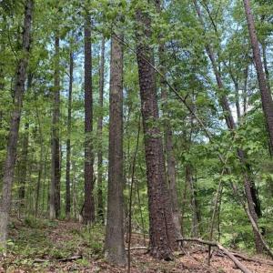 Photo of UNDER CONTRACT!!  3.7 Acres of Residential and Investment Land For Sale in Franklin County NC!