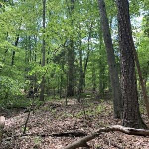 Photo of UNDER CONTRACT!!  3.7 Acres of Residential and Investment Land For Sale in Franklin County NC!
