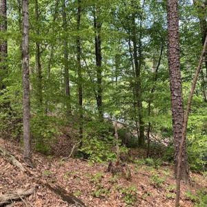 Photo of UNDER CONTRACT!!  3.7 Acres of Residential and Investment Land For Sale in Franklin County NC!