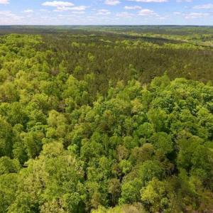 Photo of UNDER CONTRACT!!  3.7 Acres of Residential and Investment Land For Sale in Franklin County NC!