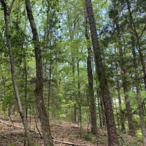 Photo of SOLD!!  0.92 Acres of Residential and Recreational Land in Franklin County NC!