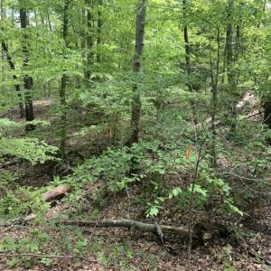 Photo of SOLD!!  0.92 Acres of Residential and Recreational Land in Franklin County NC!