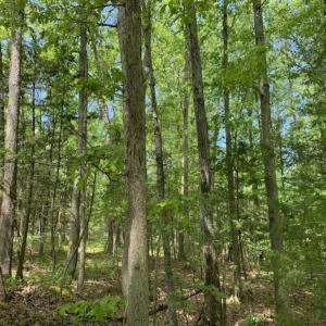 Photo of SOLD!!  0.92 Acres of Residential and Recreational Land in Franklin County NC!