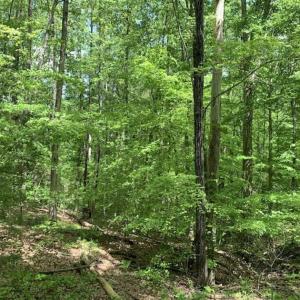 Photo of SOLD!!  0.92 Acres of Residential and Recreational Land in Franklin County NC!