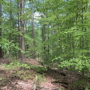 Photo of SOLD!!  0.92 Acres of Residential and Recreational Land in Franklin County NC!