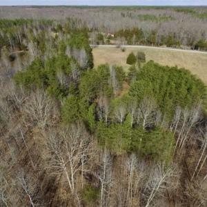 Photo of SOLD!!  3.88 Acres of Rural Residential Land For Sale in Lunenburg County VA!