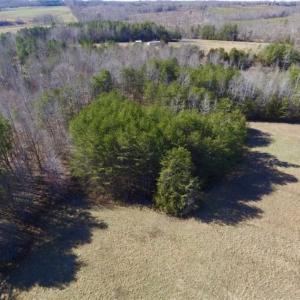 Photo of SOLD!!  3.88 Acres of Rural Residential Land For Sale in Lunenburg County VA!