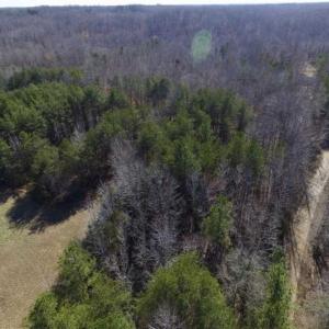 Photo of SOLD!!  3.88 Acres of Rural Residential Land For Sale in Lunenburg County VA!