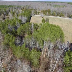 Photo of SOLD!!  3.88 Acres of Rural Residential Land For Sale in Lunenburg County VA!