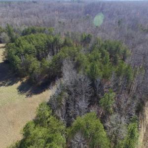 Photo of SOLD!!  3.88 Acres of Rural Residential Land For Sale in Lunenburg County VA!