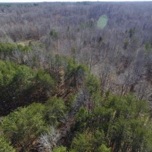 Photo of SOLD!!  3.88 Acres of Rural Residential Land For Sale in Lunenburg County VA!