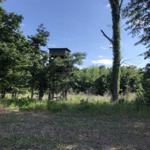 Photo of SOLD!!  254 Acres of Timber and Farm Land For Sale in Columbus County NC!