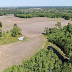 Photo of SOLD!!  254 Acres of Timber and Farm Land For Sale in Columbus County NC!