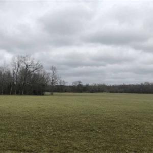 Photo of SOLD!!  254 Acres of Timber and Farm Land For Sale in Columbus County NC!