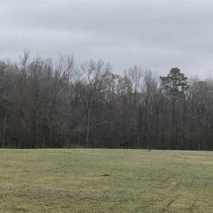 Photo of SOLD!!  254 Acres of Timber and Farm Land For Sale in Columbus County NC!