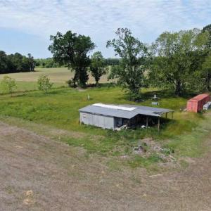 Photo of SOLD!!  254 Acres of Timber and Farm Land For Sale in Columbus County NC!