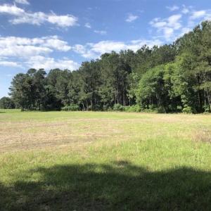 Photo of SOLD!!  254 Acres of Timber and Farm Land For Sale in Columbus County NC!