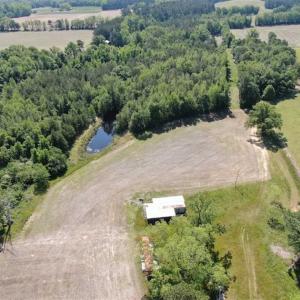 Photo of SOLD!!  254 Acres of Timber and Farm Land For Sale in Columbus County NC!