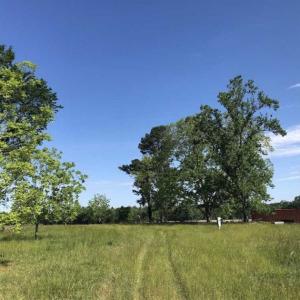 Photo of SOLD!!  254 Acres of Timber and Farm Land For Sale in Columbus County NC!