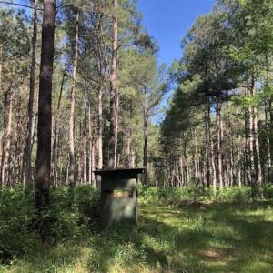 Photo of SOLD!!  254 Acres of Timber and Farm Land For Sale in Columbus County NC!