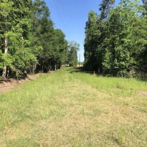 Photo of SOLD!!  254 Acres of Timber and Farm Land For Sale in Columbus County NC!