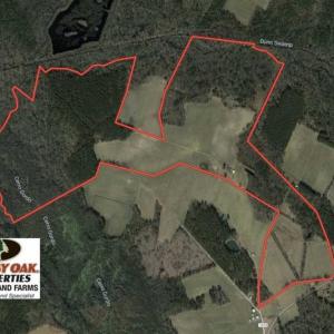 Photo of SOLD!!  254 Acres of Timber and Farm Land For Sale in Columbus County NC!