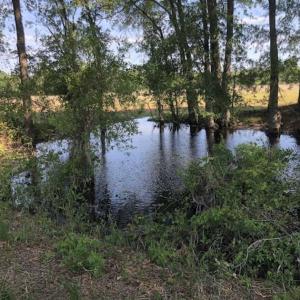 Photo of SOLD!!  254 Acres of Timber and Farm Land For Sale in Columbus County NC!