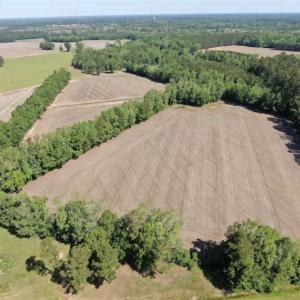 Photo of SOLD!!  254 Acres of Timber and Farm Land For Sale in Columbus County NC!