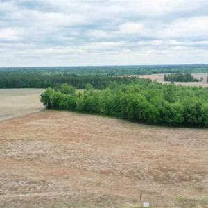 Photo of 29.15 Acres of Farm and Hunting Land for Sale in Columbus County NC!