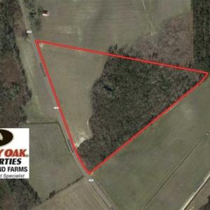 Photo of 29.15 Acres of Farm and Hunting Land for Sale in Columbus County NC!